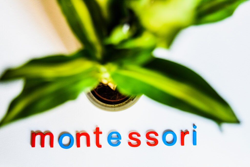 imagen de la planta con la palabra montessori debajo para el artículo sobre grupos de edad montessori.